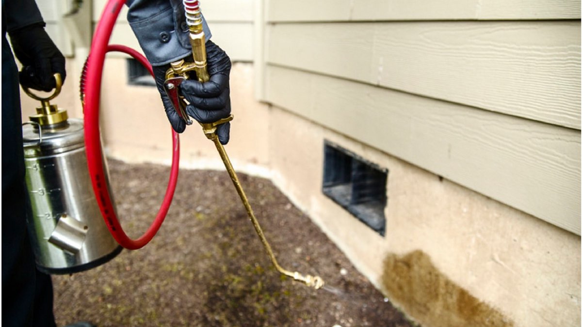 Mason's Pest Control treatment work photo